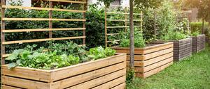 Jak postavit vyvýšený záhon ze dřeva: Praktické řešení pro každou zahradu